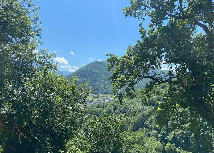 Familial En Pleine Nature